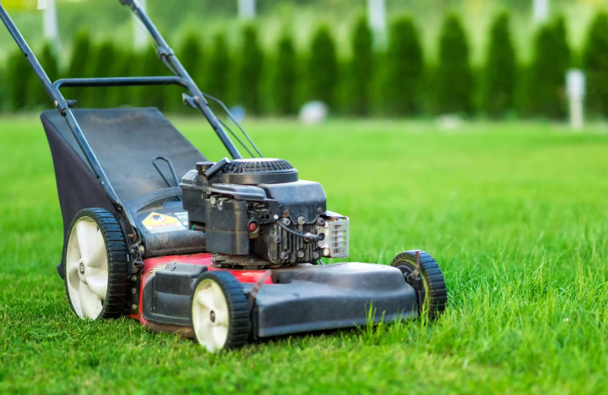 Must-Have Lawn Mowers to Spruce Up Your Yard in 2023!